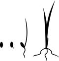Black silhouette of stages of grass